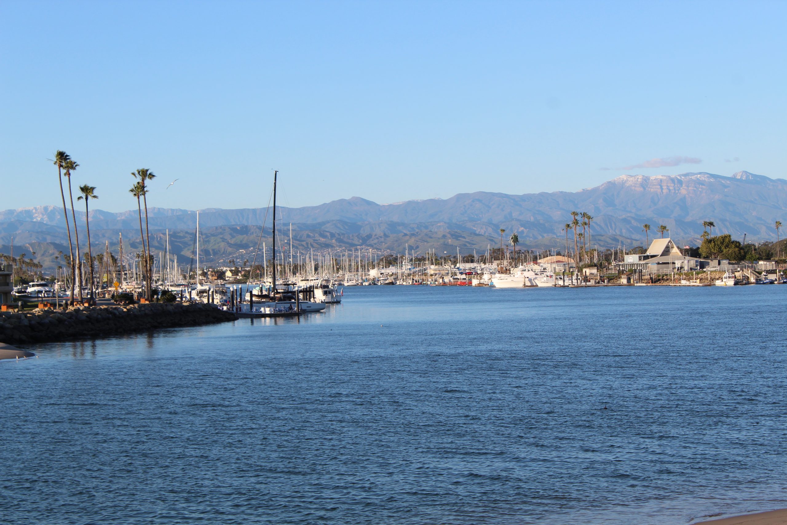Calm morning view of Channel Islands Harbor in Oxnard, California, featuring sailboats, palm trees, and distant mountains reflected on the still water.