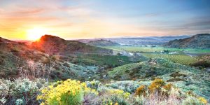 Golden sunrise over the rolling hills, vineyards, and open fields of Camarillo, California.